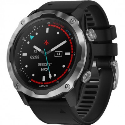  Garmin Descent Mk2 Stainless Steel (010-02132-00/10)