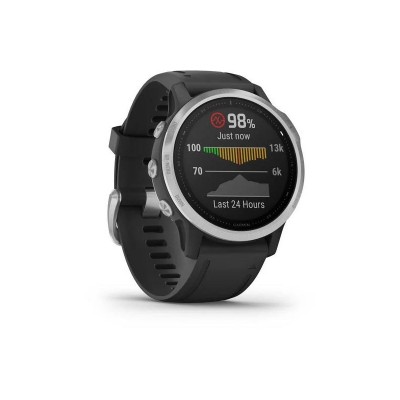 Garmin Fenix 6S Silver (010-02159-01)