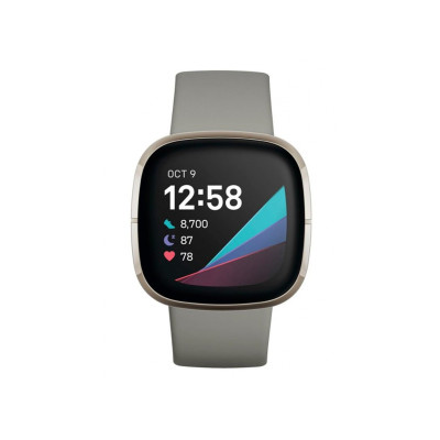 Fitbit Sense gray + Fitbit Premium (FB512SRSG)