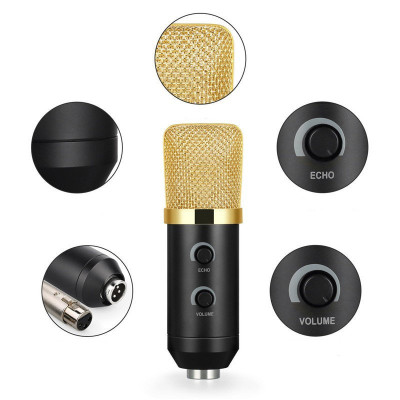 Студийный микрофон со стойкой и ветрозащитой MUSIC D.J. M800U Black Gold (200734) Студийный микрофон со стойкой и ветрозащитой MUSIC D.J. M800U Black Gold (200734)