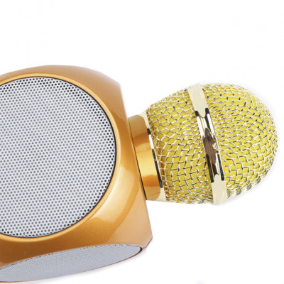 Беспроводной портативный микрофон Micgeek WS-1816 для караоке с подсветкой Bluetooth Gold (3269-9590) Беспроводной портативный микрофон Micgeek WS-1816 для караоке с подсветкой Bluetooth Gold (3269-9590)