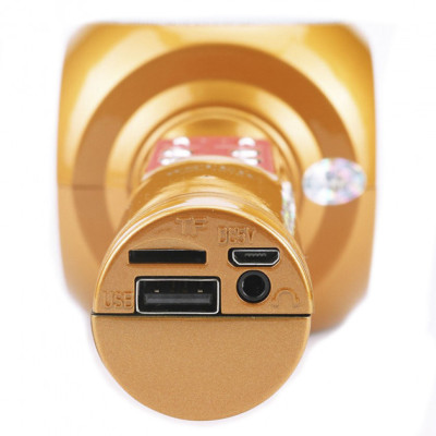 Беспроводной портативный микрофон Micgeek WS-1816 для караоке с подсветкой Bluetooth Gold (3269-9590) Беспроводной портативный микрофон Micgeek WS-1816 для караоке с подсветкой Bluetooth Gold (3269-9590)
