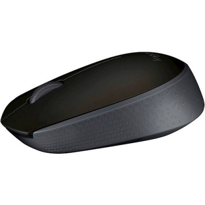 Миша Logitech Wireless Mouse M171 Black (6270804) Миша Logitech Wireless Mouse M171 Black (6270804)