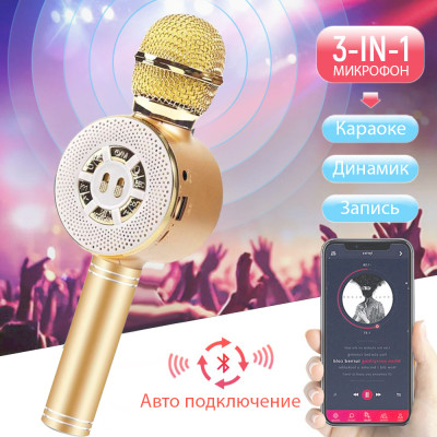 Детский микрофон Wster с функцией караоке USB, microSD, AUX, Bluetooth WS 669 Золотой Детский микрофон Wster с функцией караоке USB, microSD, AUX, Bluetooth WS 669 Золотой