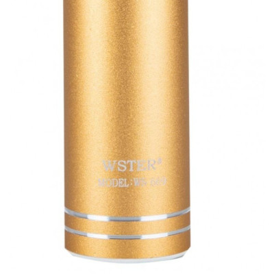 Детский микрофон Wster с функцией караоке USB, microSD, AUX, Bluetooth WS 669 Золотой Детский микрофон Wster с функцией караоке USB, microSD, AUX, Bluetooth WS 669 Золотой