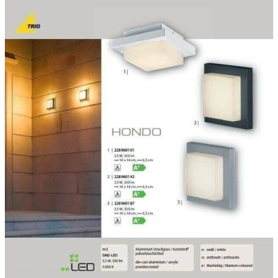 Настенный уличный светильник TRIO HONDO 228960142