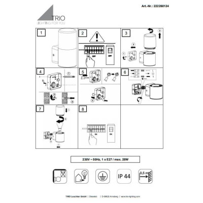 Настінний вуличний світильник TRIO HOOSIC 222260124