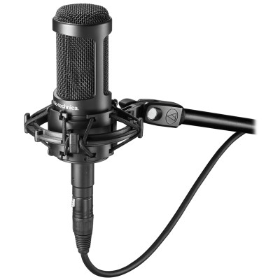 Микрофон студийный Audio-Technica AT2035 Микрофон студийный Audio-Technica AT2035