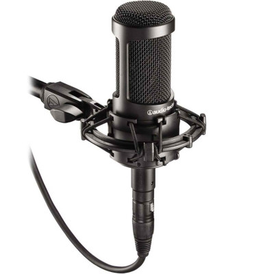 Микрофон студийный Audio-Technica AT2050 Микрофон студийный Audio-Technica AT2050