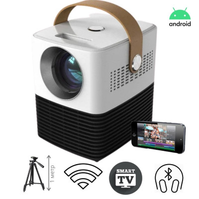 Проектор портативный No Brand PANOPLUS ZEBRA (3000 lumen) (15415_651) Проектор портативный No Brand PANOPLUS ZEBRA (3000 lumen) (15415_651)