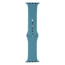 Ремешок Anchor для Apple Watch Band Silicone One-Piece Size-S 42 / 44mm Цвет 65 Cactus color