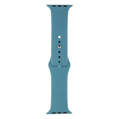 Ремешок Anchor для Apple Watch Band Silicone One-Piece Size-S 42 / 44mm Цвет 65 Cactus color