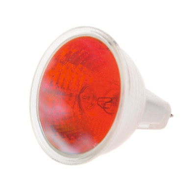 Лампа галогенная Brille Металл 50W Хром 126868