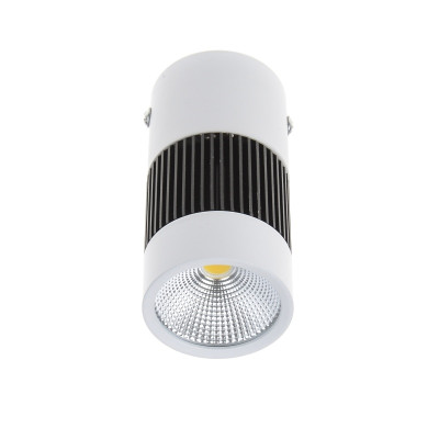 Светильник потолочный led накладной Brille 8W LED-217 Белый