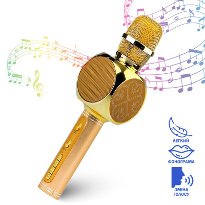 Беспроводной караоке микрофон Magic Karaoke YS-63 Gold Беспроводной караоке микрофон Magic Karaoke YS-63 Gold