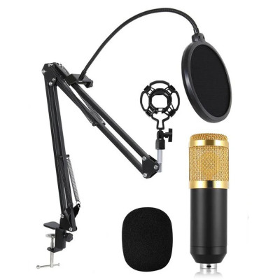 Конденсаторный микрофон студийный RIAS M-800 Pro-MIC со стойкой и ветрозащитой Black-Gold (4_00352) Конденсаторный микрофон студийный RIAS M-800 Pro-MIC со стойкой и ветрозащитой Black-Gold (4_00352)