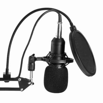 Конденсаторный микрофон студийный RIAS M-800 Pro-MIC со стойкой и ветрозащитой Black-Gold (4_00352) Конденсаторный микрофон студийный RIAS M-800 Pro-MIC со стойкой и ветрозащитой Black-Gold (4_00352)