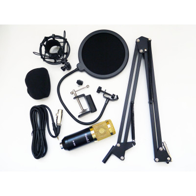 Конденсаторный микрофон студийный RIAS M-800 Pro-MIC со стойкой и ветрозащитой Black-Gold (4_00352) Конденсаторный микрофон студийный RIAS M-800 Pro-MIC со стойкой и ветрозащитой Black-Gold (4_00352)