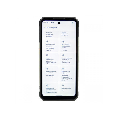 Смартфон Oukitel WP30 Pro 12/512GB Black