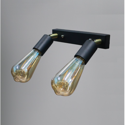 Светильник в стиле лофт с поворотным механизмом MSK Electric Asket NL 1222-2