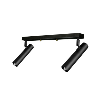 Светильник лофт MSK Electric Elegant с поворотными плафонами спот NL 1840-2 Светильник лофт MSK Electric Elegant с поворотными плафонами спот NL 1840-2