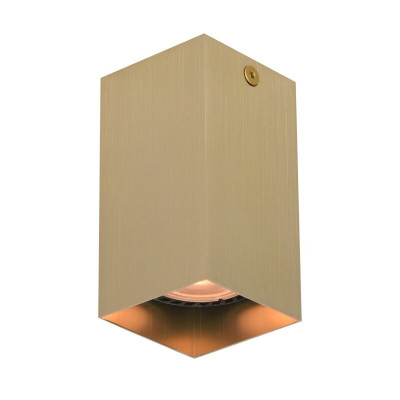 Точечный светильник Italux Ander Золотой (CLN-28394-S-GD)
