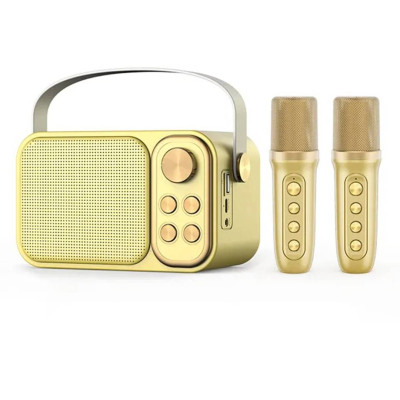 Портативная караоке-система Inspire YS-105 Gold