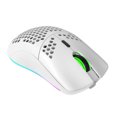 Мышь беспроводная HYSJ Т66 с аккумулятором и подсветкой 2,4G White Мышь беспроводная HYSJ Т66 с аккумулятором и подсветкой 2,4G White