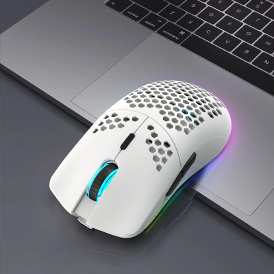 Мышь беспроводная HYSJ Т66 с аккумулятором и подсветкой 2,4G White Мышь беспроводная HYSJ Т66 с аккумулятором и подсветкой 2,4G White