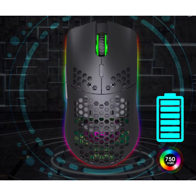 Мышь беспроводная HYSJ Т66 с аккумулятором и подсветкой 2,4G Black Мышь беспроводная HYSJ Т66 с аккумулятором и подсветкой 2,4G Black