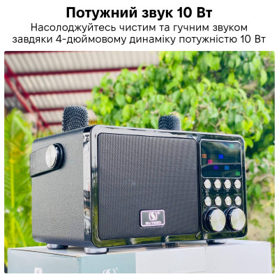 Портативная караоке-система Inspire YS-311 Black