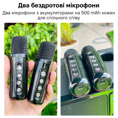 Портативная караоке-система Inspire YS-311 Black