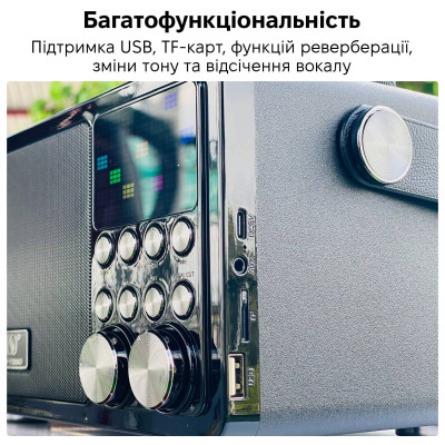 Портативная караоке-система Inspire YS-311 Black