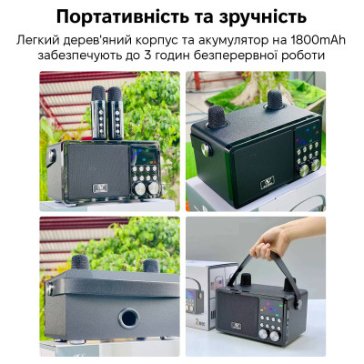 Портативная караоке-система Inspire YS-311 Black