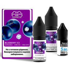 Набір компонентів для самозамісу сольовий FlavorLab Disposable Puff Blueberry ice Чорний лід 0-65 мг 10 мл (18259-hbr)