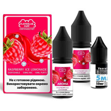Набор компонентов для самозамеса солевой FlavorLab Disposable Puff 10 мл Raspberry Lemonade ice 0-65 мг (18260-hbr)