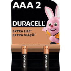 Батарейки Duracell Basic 77133 AAA1.5V LR03 2 шт (5000394077133)