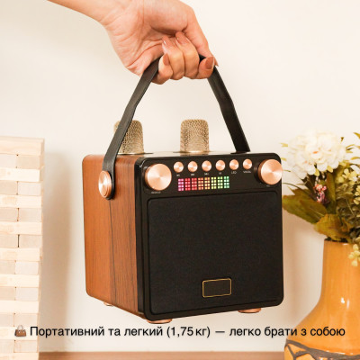 Портативная караоке-система Inspire YS-601 Wood Портативная караоке-система Inspire YS-601 Wood