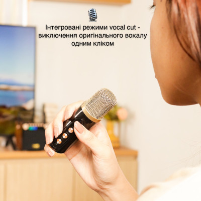 Портативная караоке-система Inspire YS-601 Wood Портативная караоке-система Inspire YS-601 Wood