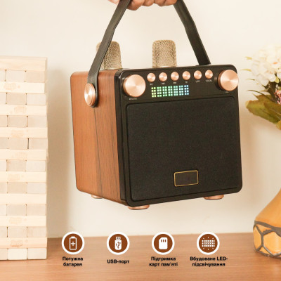 Портативная караоке-система Inspire YS-601 Wood Портативная караоке-система Inspire YS-601 Wood