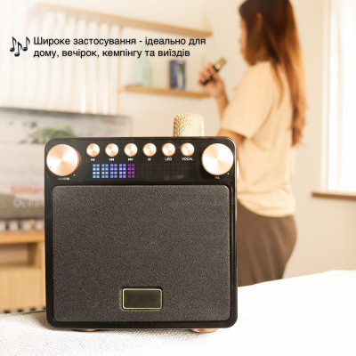Портативная караоке-система Inspire YS-601 Wood Портативная караоке-система Inspire YS-601 Wood