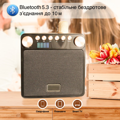 Портативная караоке-система Inspire YS-601 Wood Портативная караоке-система Inspire YS-601 Wood