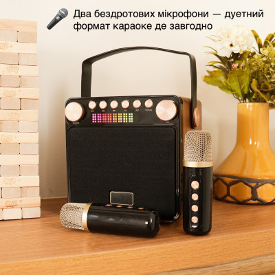 Портативная караоке-система Inspire YS-601 Wood Портативная караоке-система Inspire YS-601 Wood
