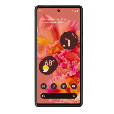 Смартфон Google Pixel 6 8/128GB Kinda Coral (2700751576)