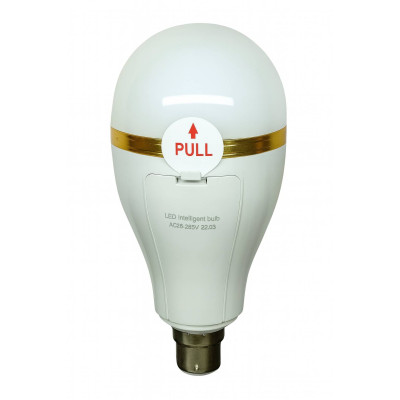 Лампочка автономного освещения с крючком No Brand 20 Вт LED E27 Белый (2104618835)