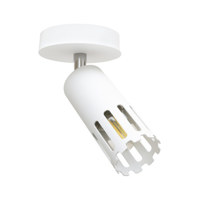 Светильник настенно-потолочный MSK Electric Teramo NL 180501-1 WH 18x8 см Белый (620865)