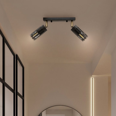 Світильник стельовий MSK Electric Teramo NL 18050-2 BK 18x21 см Чорний (620858) Світильник стельовий MSK Electric Teramo NL 18050-2 BK 18x21 см Чорний (620858)