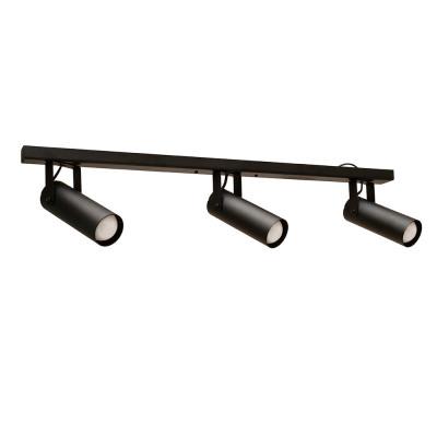 Светильник потолочный MSK Electric Focus Е27 NL 14050-3 BK 19x5 см Черный (622030)