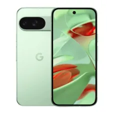 Смартфон Google Pixel 9 12/128GB Wintergreen (2940976243)