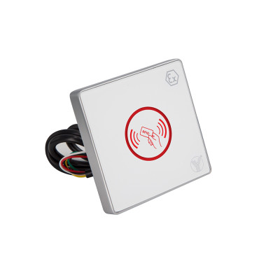 Считыватель Yli Electronic YR-168IC-EX (305942)